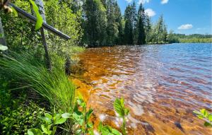 1 Bedroom Nice Home In Lesjöfors