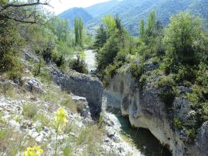 Charming holiday flat with shared pool, Malaucène