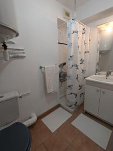 Quiet studio in Avignon