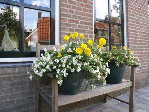 Atmospheric Wadden houses located next to each other near the Wadden Sea