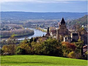 Maisons de vacances Castle 12th century with private pool close to Agen : photos des chambres