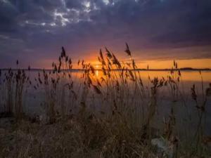 Apartment Little Starfish, Wiek