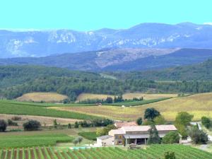 Maisons de vacances Villa in Conilhac with Private Terrace : photos des chambres