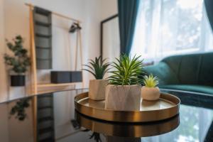 Green Greguss Calm Chic w AC by M2 Metro