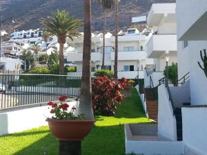 Apartment in Santa Cruz de Tenerife with pool