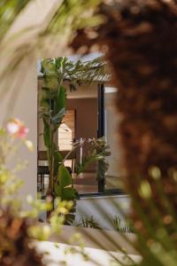 Balamb Garden A Rinascita