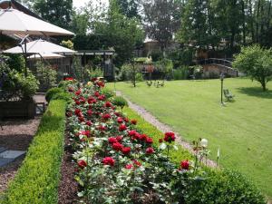Appartements Holiday flat on small holiday farm with indoor pool many activities,Kindwiller : photos des chambres