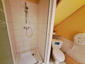 Appartements Holiday flat on small holiday farm with indoor pool many activities,Kindwiller : photos des chambres