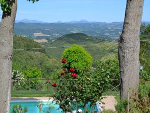 Stunning Holiday Home in Umbria With Jacuzzi