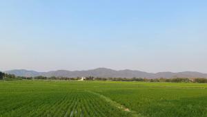 Thai wooden house near the pond Mountain View Chiang mai