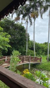 Thai wooden house near the pond Mountain View Chiang mai