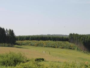 Majestic holiday home near beach