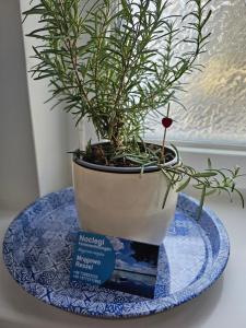 Magical places Sea Side Maritime Dream Apartment