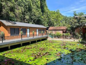 Tam Coc Central Bungalow-Hostel