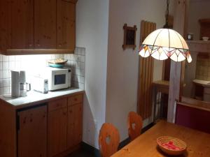 Wohnung in Schladming nahe Skipisten