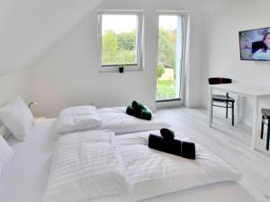 Comfortable holiday villa, Mielenko