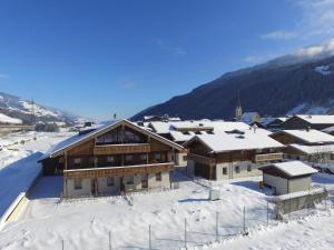 Apartment in Hollersbach near Ski Lift
