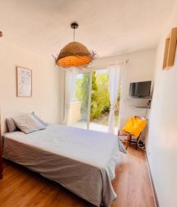 Appartements Spacious cocoon with pool in La Rochelle : photos des chambres