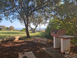 Panoramic trulli with swimming pool in Monopoli