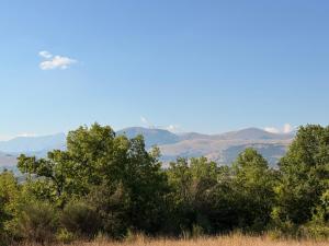 Visione via Peltuino 19