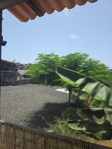 La casita del fin del mundo en La Palma