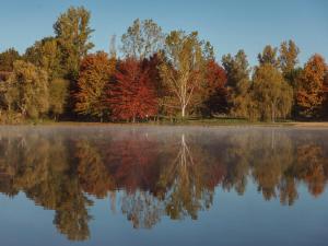 Villas Villa in Cazals with Private Pool & Lake Nearby : photos des chambres