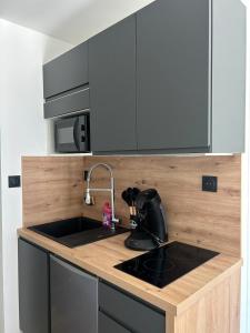 Appartements Cocoon au pied des montagnes : photos des chambres