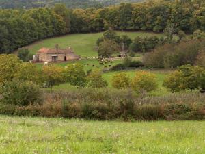 Maisons de vacances Dreamy Retreat in Loubejac : photos des chambres