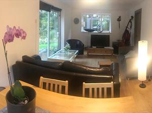 Contemporary House with a Woodland Setting