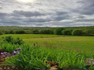 Maisons de vacances Holiday Home in Loubressac with Pool & Garden : photos des chambres