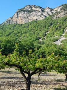 Maisons de vacances La Source des Baronnies studio for 2 peoples : photos des chambres