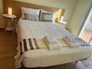 Porto Santo Rentals