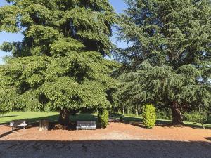 Maisons de vacances Mansion in Meaulne with Private Pool : photos des chambres