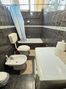 Central Shkoder Apartment