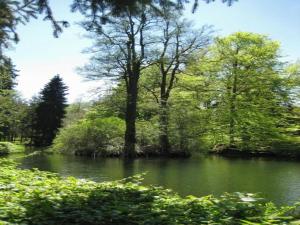 Maisons de vacances Cozy Garden Retreat Malemort : photos des chambres