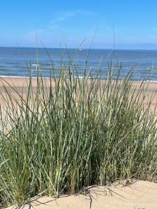 SATORI LODGE near the Dunes & the Beach