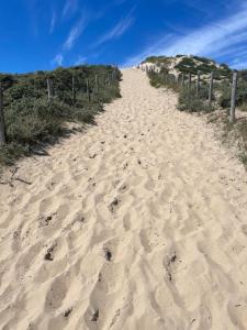 SATORI LODGE near the Dunes & the Beach
