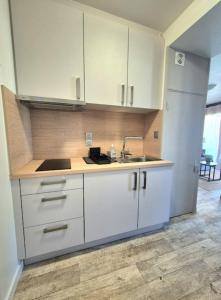 Appartements Very nice T3 at 3 min from the beach St Enogat : photos des chambres