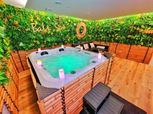 Appartements BALI SPA-4 Pers-Jacuzzi-Parking-Jardin-Clim-Colmar : Appartement 1 Chambre