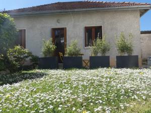 Maisons de vacances Maisonnette au bord du Sierroz : photos des chambres