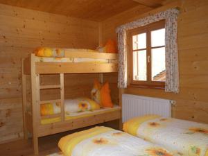 Chalet in Sankt Gallenkirch near Ski Bus