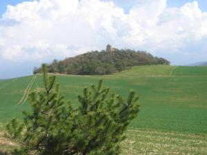 Maisons de vacances Holiday Home in Saizy with Stargazing Garden : photos des chambres