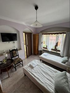 Pokoje pod winogronami