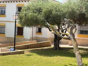 BEAUTIFUL RENOVATED 1 BEDROOM APARTMENT WITH ACCESS TO 4 POOLs