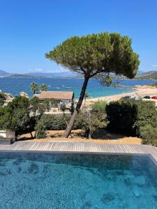 Villas Villa mare e sole : Villa 1 Chambre