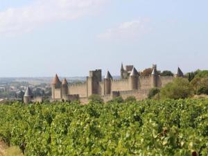 Maisons de vacances Villa in Oupia near Carcassonne & Beaches : photos des chambres