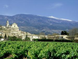 Villas Farmhouse in Carpentras with Pool : photos des chambres