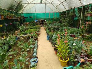 Amaira Resort & Farms - Mirik, West Bengal