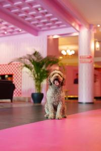 The Grand Arosa - Pop-Up Hotel Self Check-in