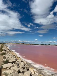 Cocon de charme centre médiéval